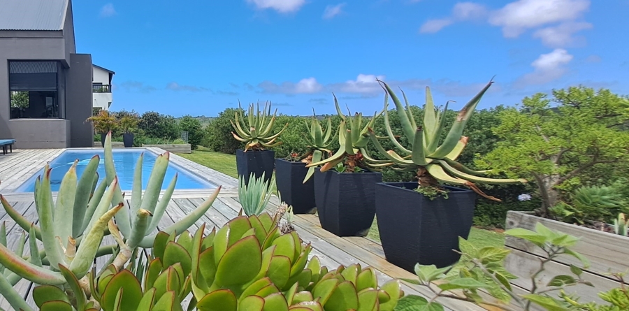 To Let 4 Bedroom Property for Rent in Brackenridge Western Cape